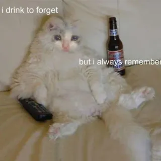 🐱 10be6dec i drink to forget but i always remember cat, alcohol, drinking, meme, sad, forget, remember, funny telegram sticker