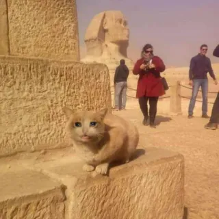 mic telegram stickers