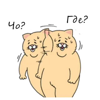 ❓ 53faba52 Кто? Где. gato, confundido, pregunta, ruso, texto, quién, dónde telegram sticker