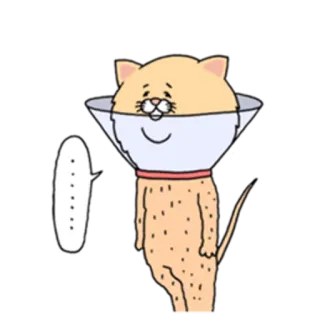 😕 667035ee ...... gato, collar isabelino, animal, mascota, dibujos animados, bocadillo, triste telegram sticker