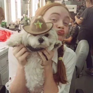 🌹 5d42361d cane, cappello, donna, persona, carino, animale telegram sticker