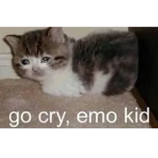 😒 c0aac050 go cry, emo kid cat, emo, cry, sad, meme, kitten whatsapp sticker