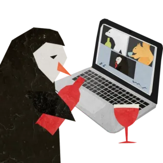 💻 3522bcae ordinateur portable, animaux, réunion en ligne, ours polaire, pingouin, écureuil telegram sticker