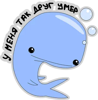 😢 cc3e0612 У МЕНЯ ТАК ДРУГ УМЕР 鲸鱼, 难过, 卡通, 动物 telegram sticker