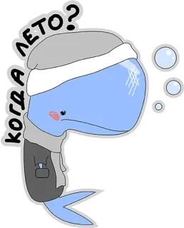 😢 e4844585 КОГДА ЛЕТО? 鲸鱼, 冬天, 寒冷, 问题, 夏天, 卡通, 可爱 telegram sticker