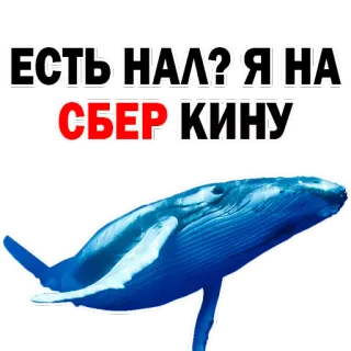 👍 17beaa4e ЕСТЬ НАЛ? Я НА СБЕР КИНУ 鲸鱼, 现金, 钱, Sber, Sberbank telegram sticker