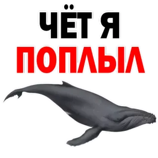 😂 35187a75 ЧЁТЯ ПОПЛЫЛ 鲸鱼, 动物, 海洋, 海洋 telegram sticker