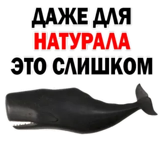 😍 6ef6862b ДАЖЕ ДЛЯ НАТУРАЛА ЭТО СЛИШКОМ 鲸鱼, 搞笑, 俄语, 动物 telegram sticker