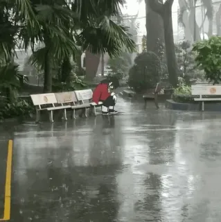 🌊 eb95fbee ฝน, นั่งยอง, ม้านั่ง, เปียก, สวนสาธารณะ, ฝนตก telegram sticker