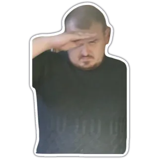 🤠 ee86c8f9 敬礼, 男人, 人, 尊敬 telegram sticker