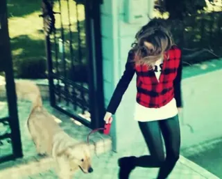 🐶 faa23f35 ผู้หญิง, หมา, ลายสก็อต, โกลเด้น รีทรีฟเวอร์, กลางแจ้ง, แฟชั่น telegram sticker