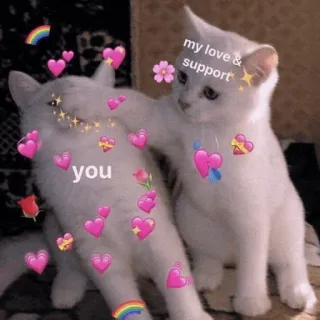 🍡 707b3900 my love & support
you mèo, mèo con, yêu, ủng hộ, dễ thương, động vật, trái tim whatsapp sticker