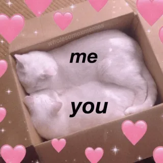 🍡 99b7fc04 me
you mèo, tình yêu, dễ thương, meme, động vật, mối quan hệ whatsapp sticker