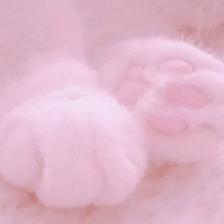 🍡 a03529a8 mèo, bàn chân, hồng, dễ thương, mèo con, mềm mại whatsapp sticker