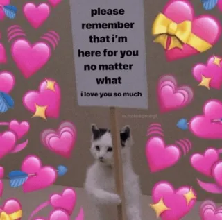 🍡 d36731d0 please remember that i'm here for you no matter what i love you so much mèo, trái tim, tình yêu, hỗ trợ, tình bạn, tốt bụng, tình cảm whatsapp sticker