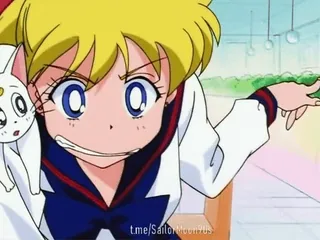 👉 1a4978ee Sailor Moon t.me/SailorMoonYus Anime, Kreskówka, Sailor Moon, Postać, Słodkie telegram sticker