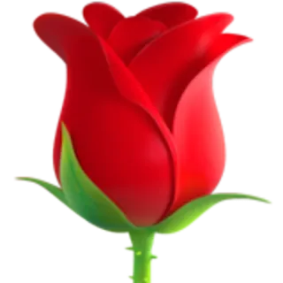 🌹 cd5b4b7b róża, kwiat, czerwony, roślina, natura, ogród, kwiatowy telegram sticker