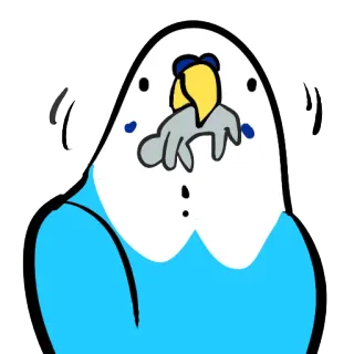 🍽 22a101d0 鹦鹉, 鸟, 可爱, 动物, 卡通 telegram sticker