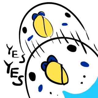 👍 2547e7c7 YES YES 鹦鹉, 虎皮鹦鹉, 鸟, 是, 积极, 可爱, 动物 telegram sticker