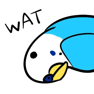 🙁 2d41600c WAT 鸟, 鹦鹉, 瓦, 搞笑, 可爱 telegram sticker