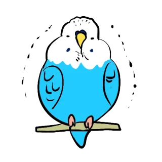 😷 a1e11af1 鸟, 虎皮鹦鹉, 鹦鹉, 蓝色, 动物, 可爱, 宠物 telegram sticker