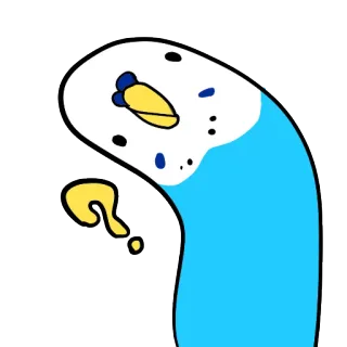 🤔 ae6d427e 虎皮鹦鹉, 鹦鹉, 鸟, 问号, 困惑, 可爱 telegram sticker