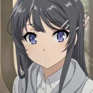 🐰 8af687cb Mai Sakurajima Rascal Does Not Dream of Bunny Girl Senpai Аниме, Девочка, Милая, Сакурадзима, Май telegram sticker