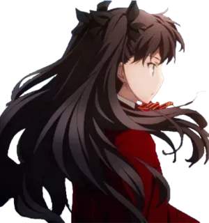 🤨 49318b40 Rin Tohsaka Fate/stay night anime, ragazza, capelli lunghi, capelli scuri, rosso, animazione, personaggio telegram sticker