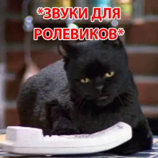 😖 09c167a2 *ЗВУКИ ДЛЯ РОЛЕВИКОВ* 고양이, 전화, 러시아어 텍스트 whatsapp sticker