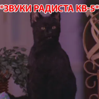 😗 a4b132e2 *ЗВУКИ РАДИСТА КВ-5* 고양이, 검은 고양이, 텍스트, 러시아어 whatsapp sticker
