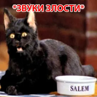 😡 ad1fd9f5 Salem *ЗВУКИ ЗЛОСТИ* 고양이, 동물, 세일럼, 분노, 밈, 애완동물 whatsapp sticker