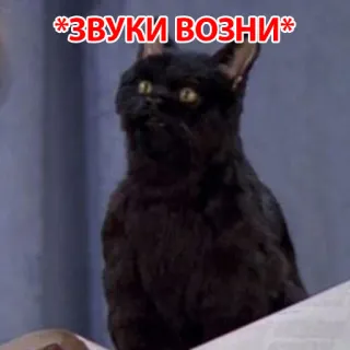 😙 bfad3640 *ЗВУКИ ВОЗНИ* 고양이, 검은 고양이, 밈, 러시아, 웃긴 whatsapp sticker