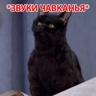 😃 c7b550e9 *ЗВУКИ ЧАВКАНЬЯ* 고양이, 밈, 동물, 애완동물, 유머, 검은 고양이 whatsapp sticker