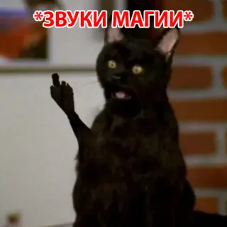 🧐 f895c0cd *ЗВУКИ МАГИИ* 고양이, 가운데 손가락, 불쾌한, 마법, 러시아어 whatsapp sticker