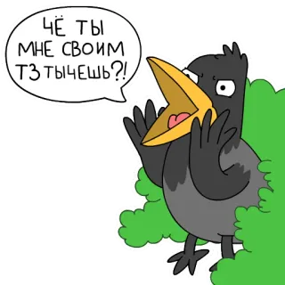 👿 9c15bb49 ЧЁ ТЫ МНЕ СВОИМ ТЗ ТЫЧЕШЬ?! อีกา, นก, คำพูด, การ์ตูน, โกรธ whatsapp sticker