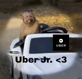 🤱 cdf234d3 Uber Jr. <3 uber, monkey, driving, car, uber jr whatsapp sticker