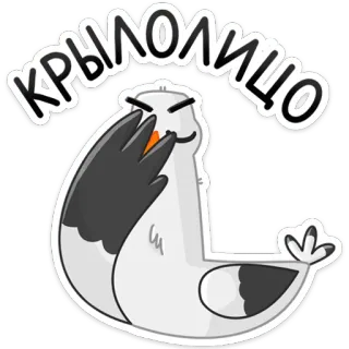 🤦‍♂️ 67b35a08 КРЫЛОЛИЦО นก, ตลก, การ์ตูน, крылолицо, นกนางนวล telegram sticker