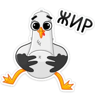 😢 f3023105 жир นกนางนวล, อ้วน, นก, การ์ตูน, สัตว์, น่ารัก, รัสเซีย, ไขมัน telegram sticker