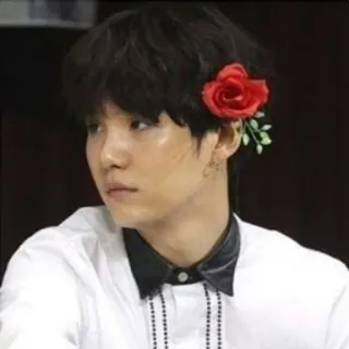 🍪 2fd6487e pria, bunga, orang, laki-laki, potret, mawar merah whatsapp sticker