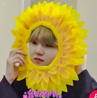 🍪 549bb583 습바라기 bunga matahari, imut, topi bunga, korea, idola, orang, penutup kepala, berbunga whatsapp sticker