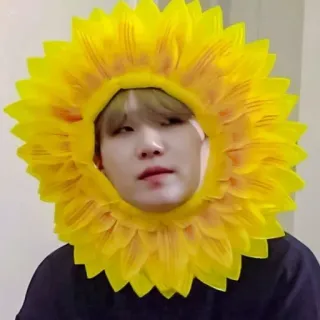 🍪 8608b25e orang, bunga matahari, topi, kostum, bunga, potret whatsapp sticker