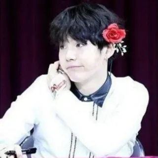 🍪 a3daa7ba orang, bunga, merah, mawar whatsapp sticker