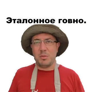 💩 d85d86d7 Эталонное говно. Мем, Русский, Смешной, Оскорбление whatsapp sticker