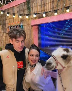 Самочка 🤘🏿 :: @fStikBot telegram stickers