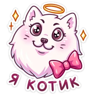 😇 27b71681 Я котик Katze, Kätzchen, süß, Heiligenschein, Schleife, Tier, kawaii whatsapp sticker