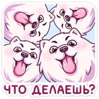 ❓ d6fba437 ЧТО ДЕЛАЕШЬ? hund, süß, tier, russisch, was machst du, cartoon whatsapp sticker