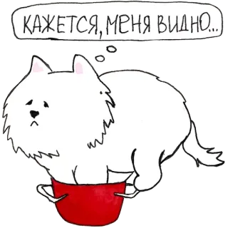 🙈 52b25621 КАЖЕТСЯ, МЕНЯ ВИДНО... 狗, 宠物, 隐藏, 罐, 可爱, 卡通, 俄语 telegram sticker