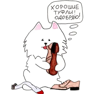 😈 994d4932 ХОРОШИЕ ТУФЛИ! ОДОБРЯЮ! 狗, 鞋子, 批准, 卡通, 幽默 telegram sticker