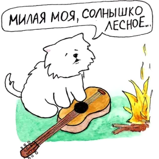 🎸 eccee8bd МИЛАЯ МОЯ, СОЛНЫШКО ЛЕСНОЕ... 猫, 吉他, 篝火, 森林, 可爱, 歌曲 telegram sticker