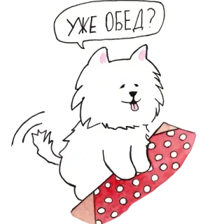 🍗 f4154e17 УЖЕ ОБЕД? 狗, 午餐, 食物, 可爱, 萨摩耶, 俄语, 卡通 telegram sticker